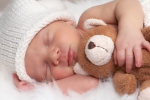 Baby Wallpapers teddy