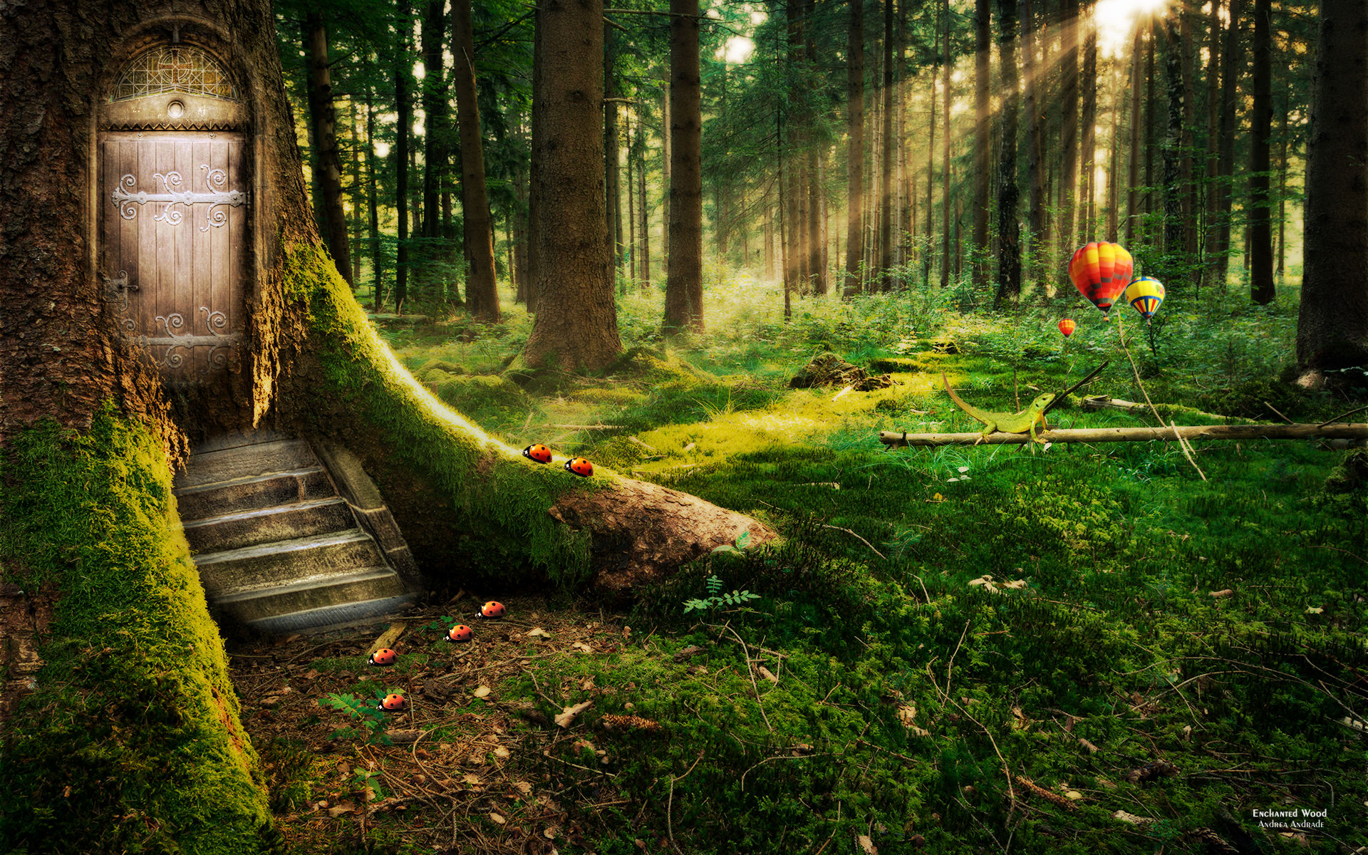 Forest Wallpapers HD A10