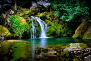 Forest Wallpapers HD waterfalls