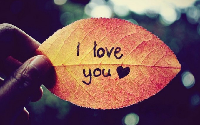I Love You Wallpapers leaf