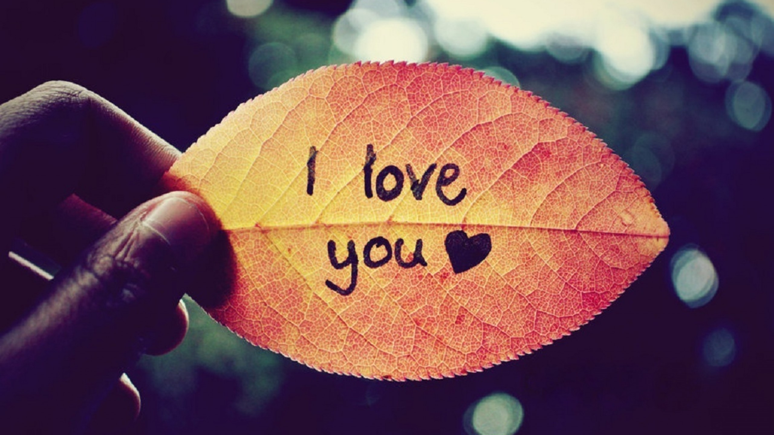 I Love You Wallpapers HD A27