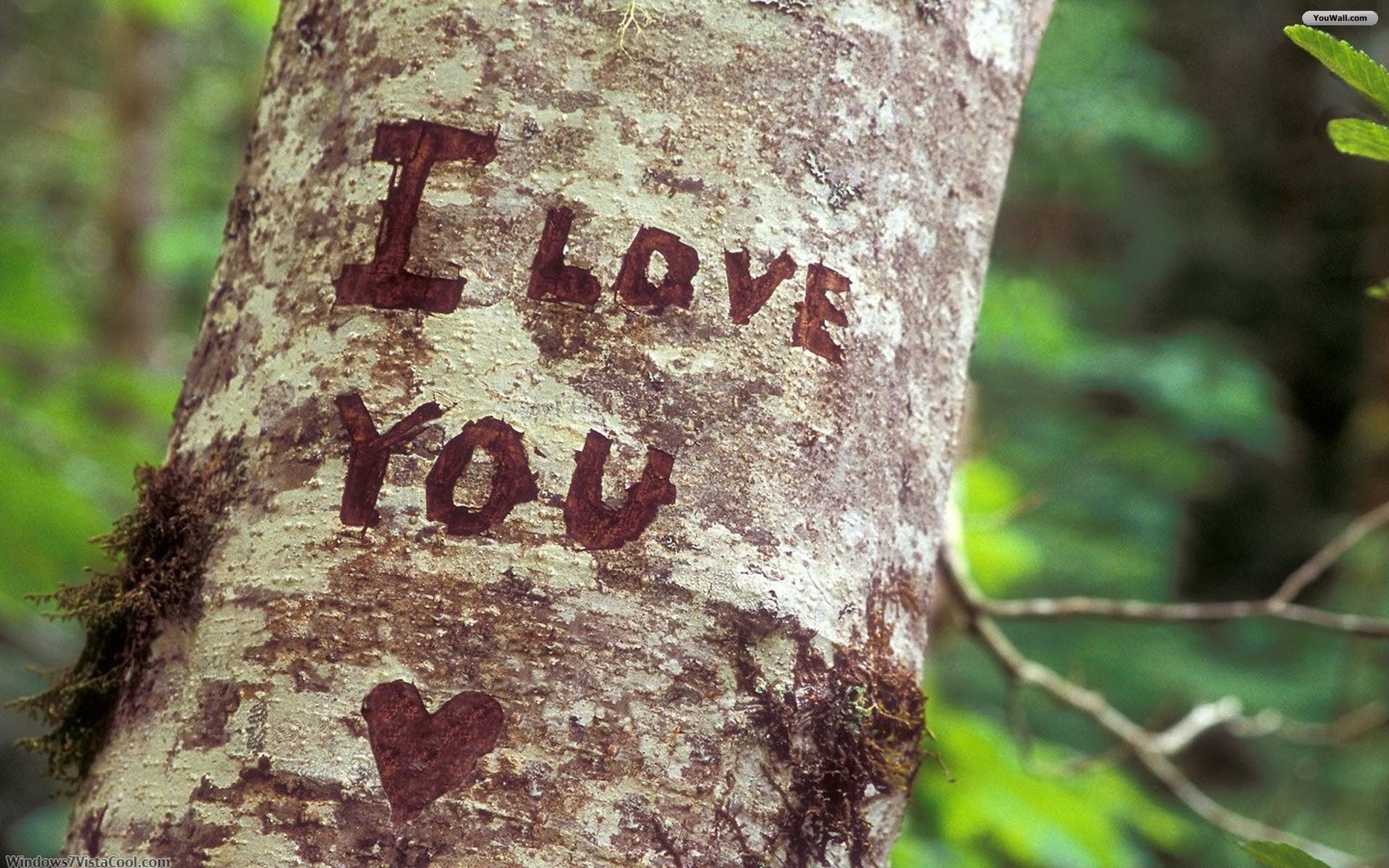 I Love You Wallpapers HD A33