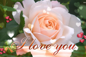 I Love You Wallpapers HD A4