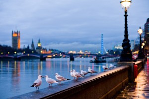 London Wallpapers HD A23