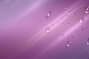 Plain Wallpapers HD purple dew drops