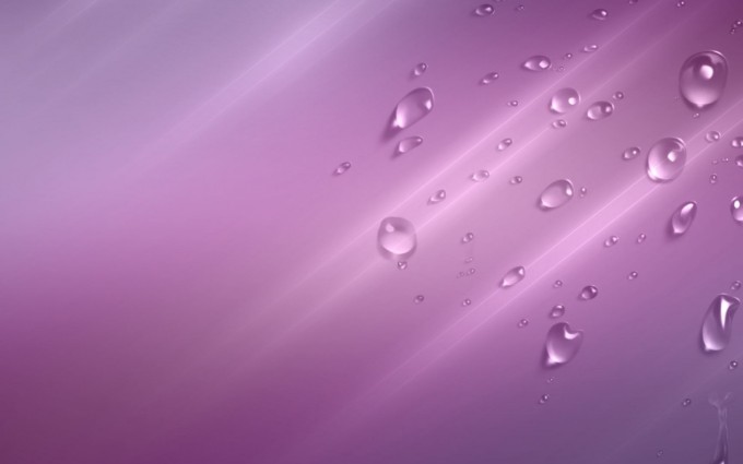 Plain Wallpapers HD purple dew drops