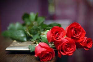 Red Roses Wallpapers HD A24