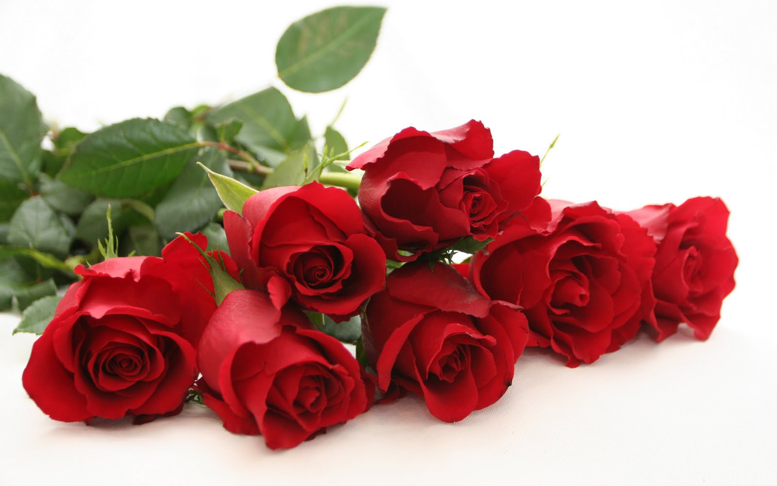 Red Roses Wallpapers HD A26