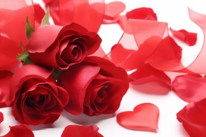 Red Roses Wallpapers HD A28