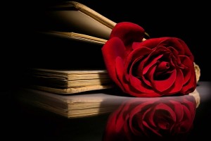 Red Roses Wallpapers HD A39 book