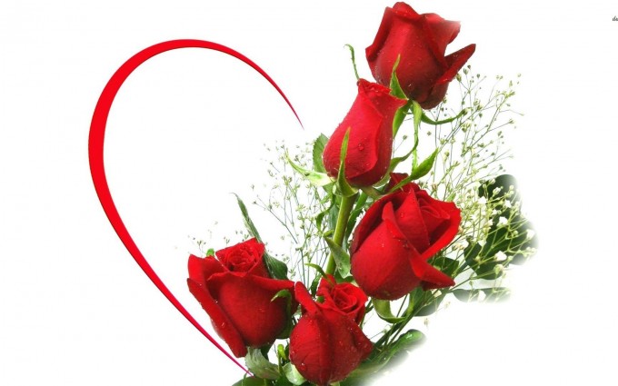 Red Roses Wallpapers HD A39 heart 2
