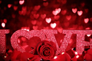 Red Roses Wallpapers HD A39 love roses