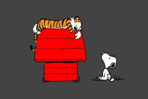 Snoopy Wallpapers HD A6