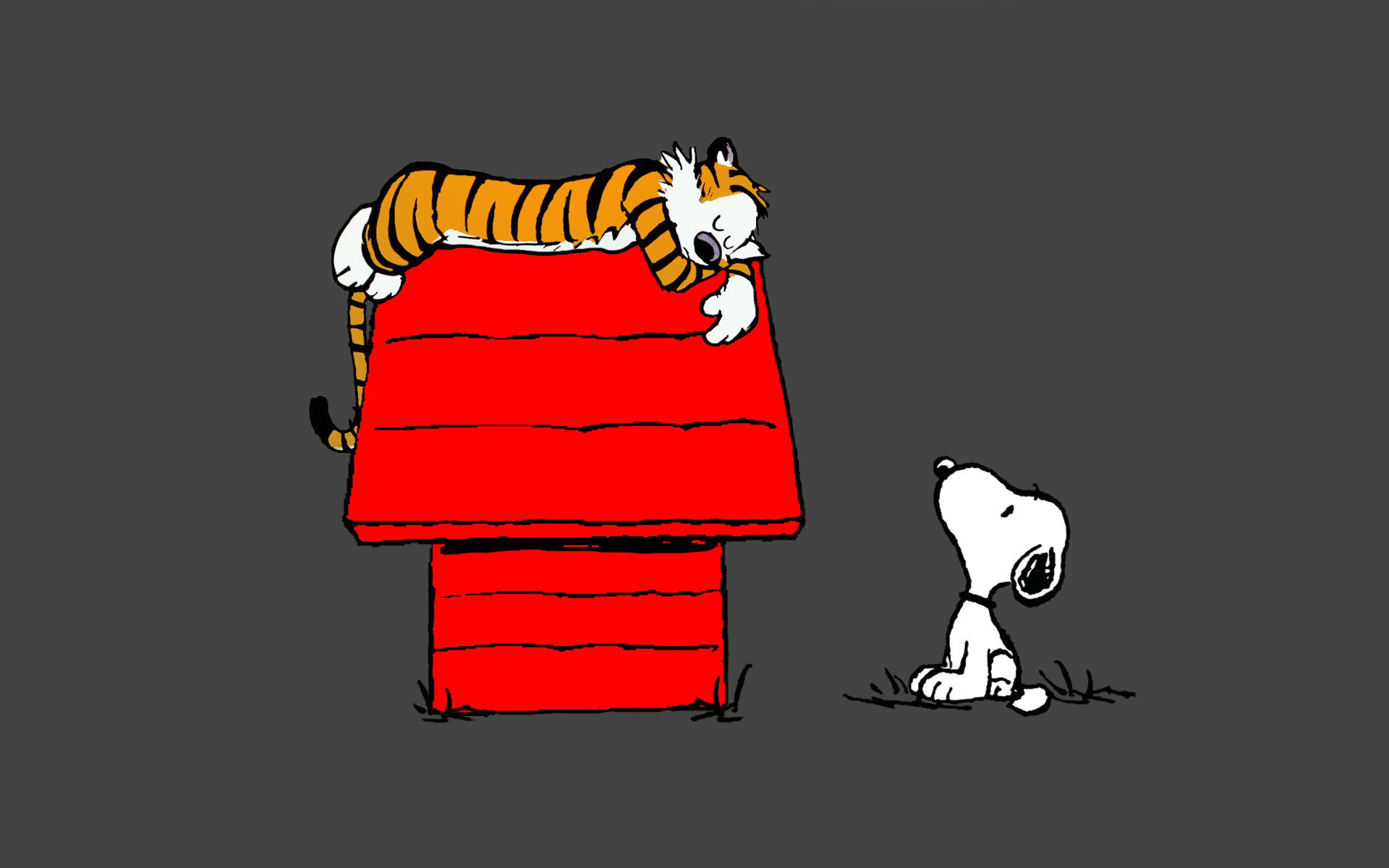 Snoopy Wallpapers HD A6