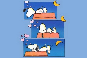 Snoopy Wallpapers HD night sleep