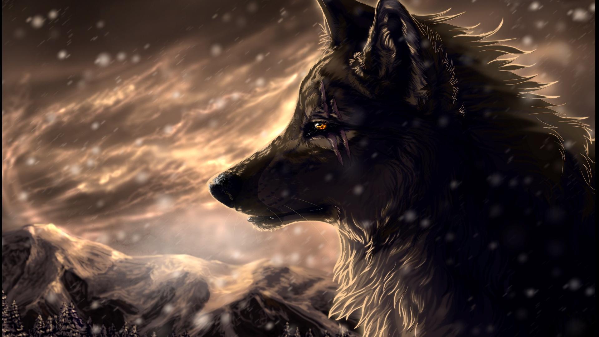 Wolf Wallpapers HD A23