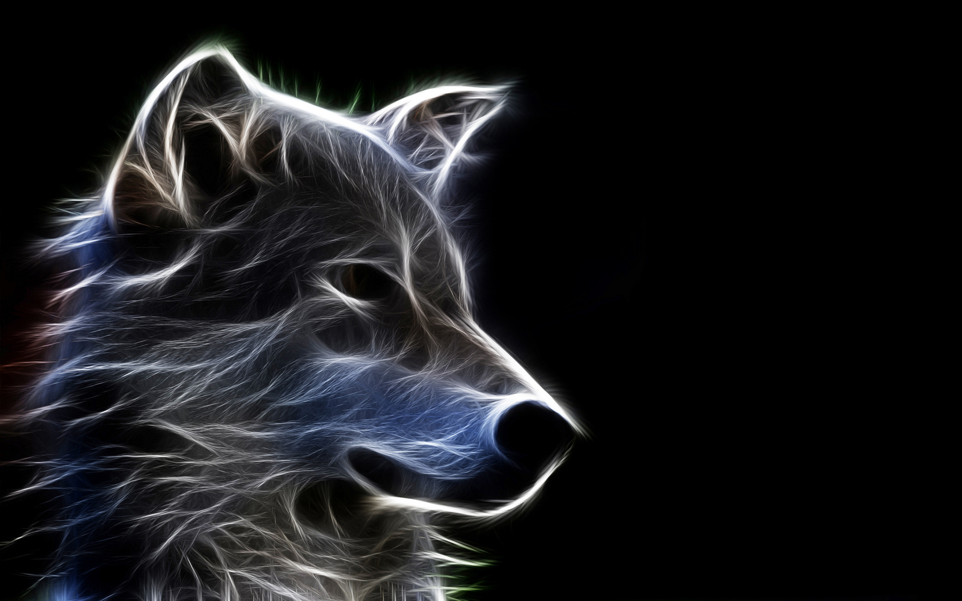 Wolf Wallpapers HD A35