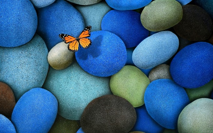 butterfly wallpaper blue pebbles