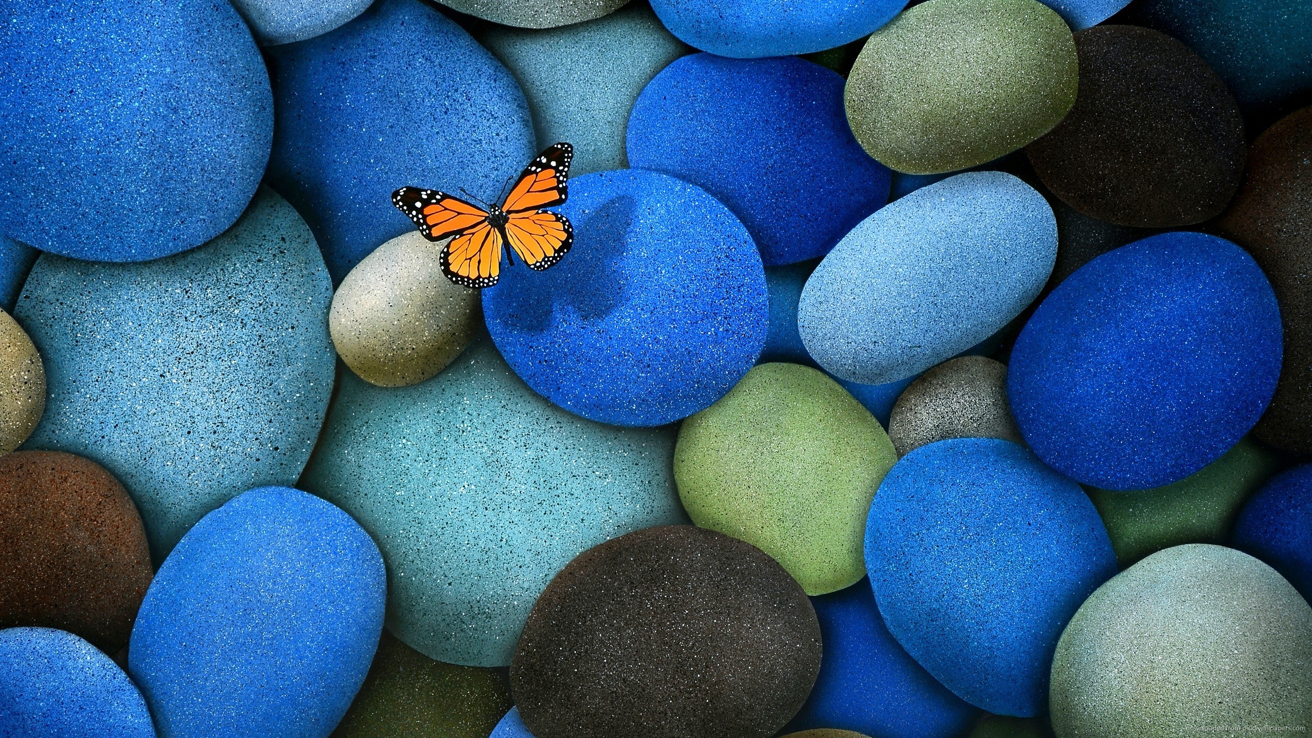 butterfly wallpaper blue pebbles