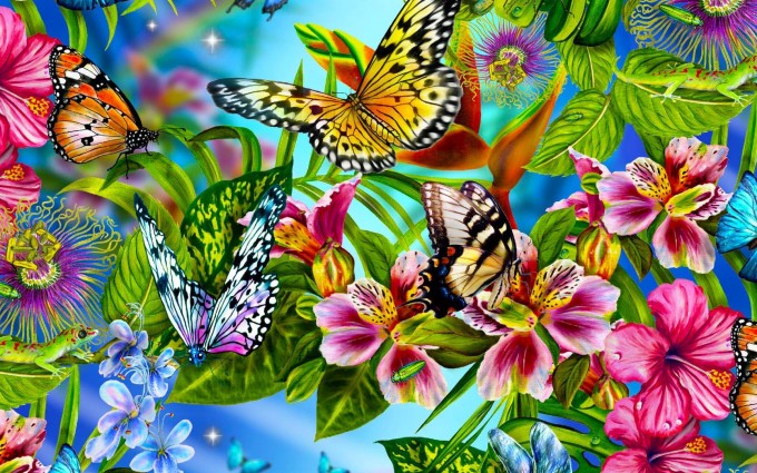 butterfly wallpaper colorful