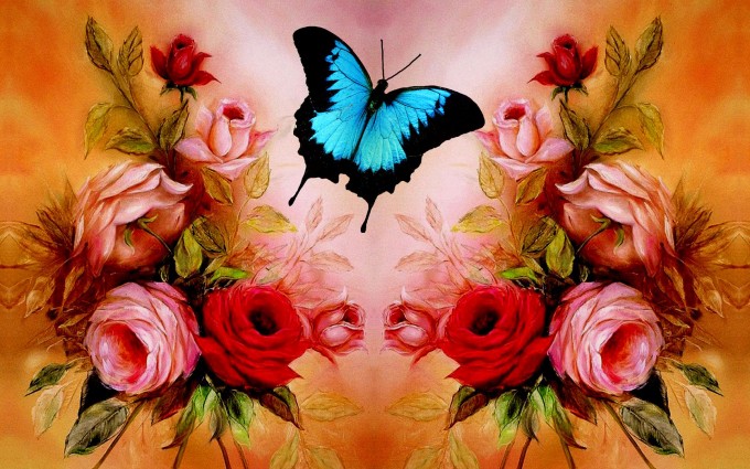 butterfly wallpaper red rose