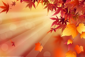 fall wallpapers abstract
