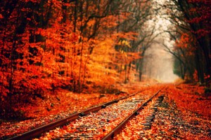 fall wallpapers rail track Autumn