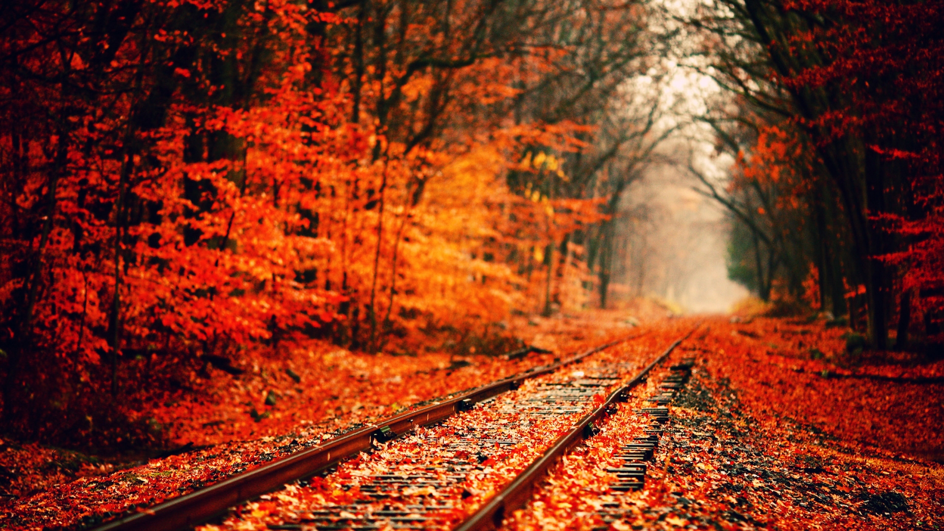 fall wallpapers rail track
