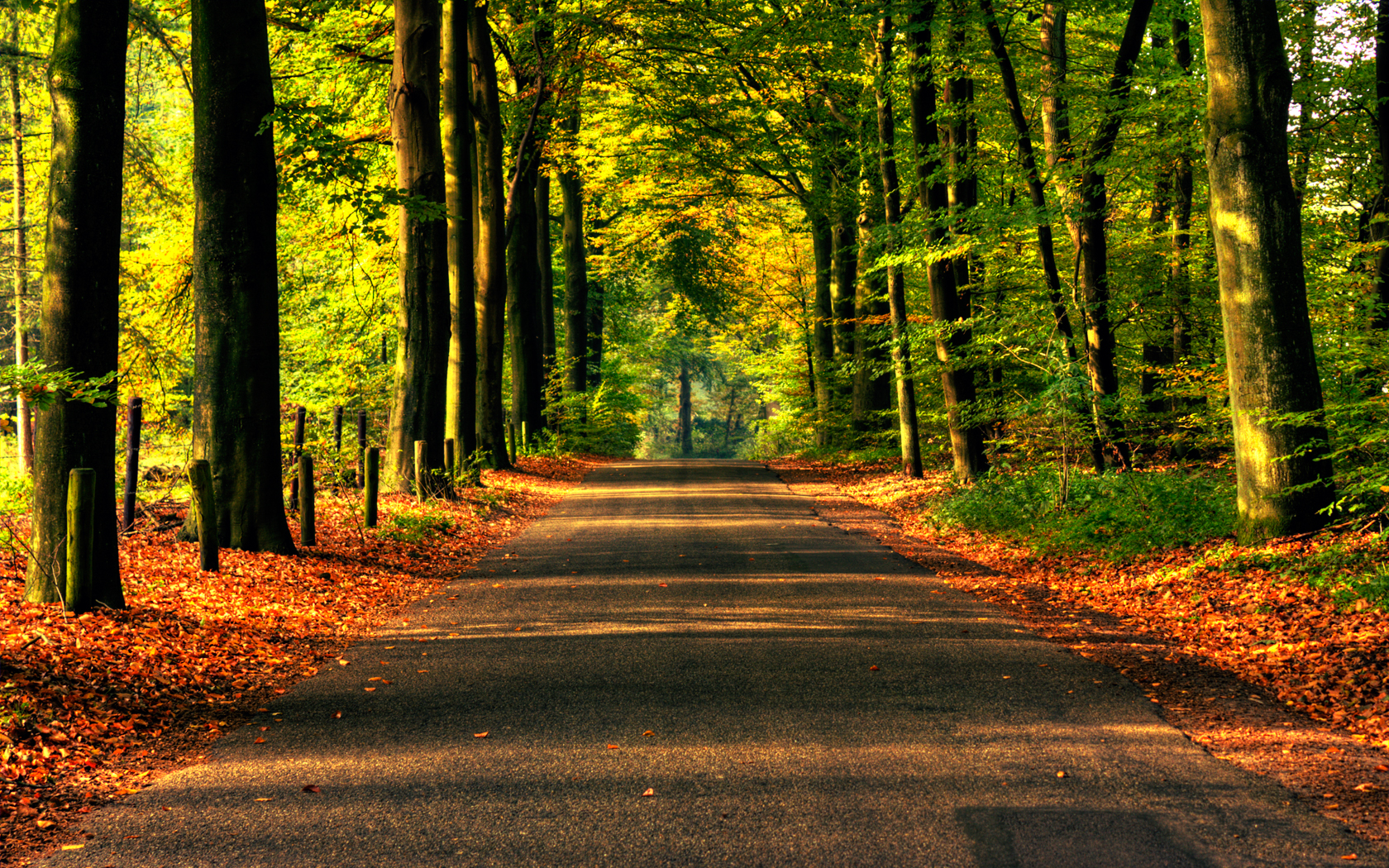 fall wallpapers road