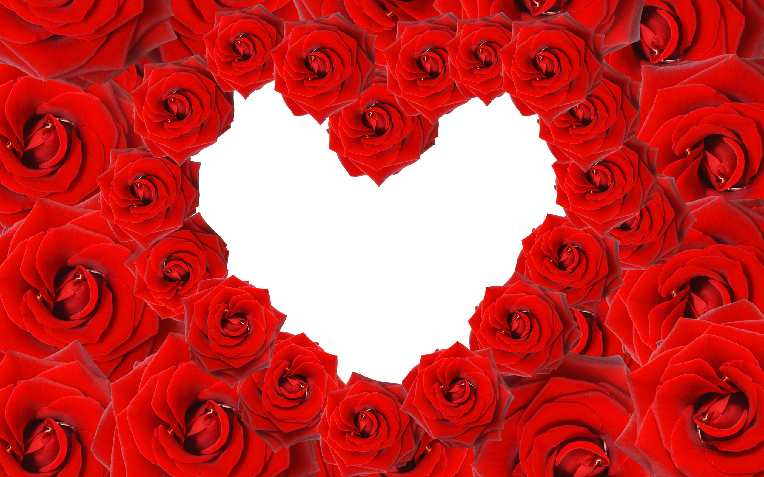 heart wallpapers roses