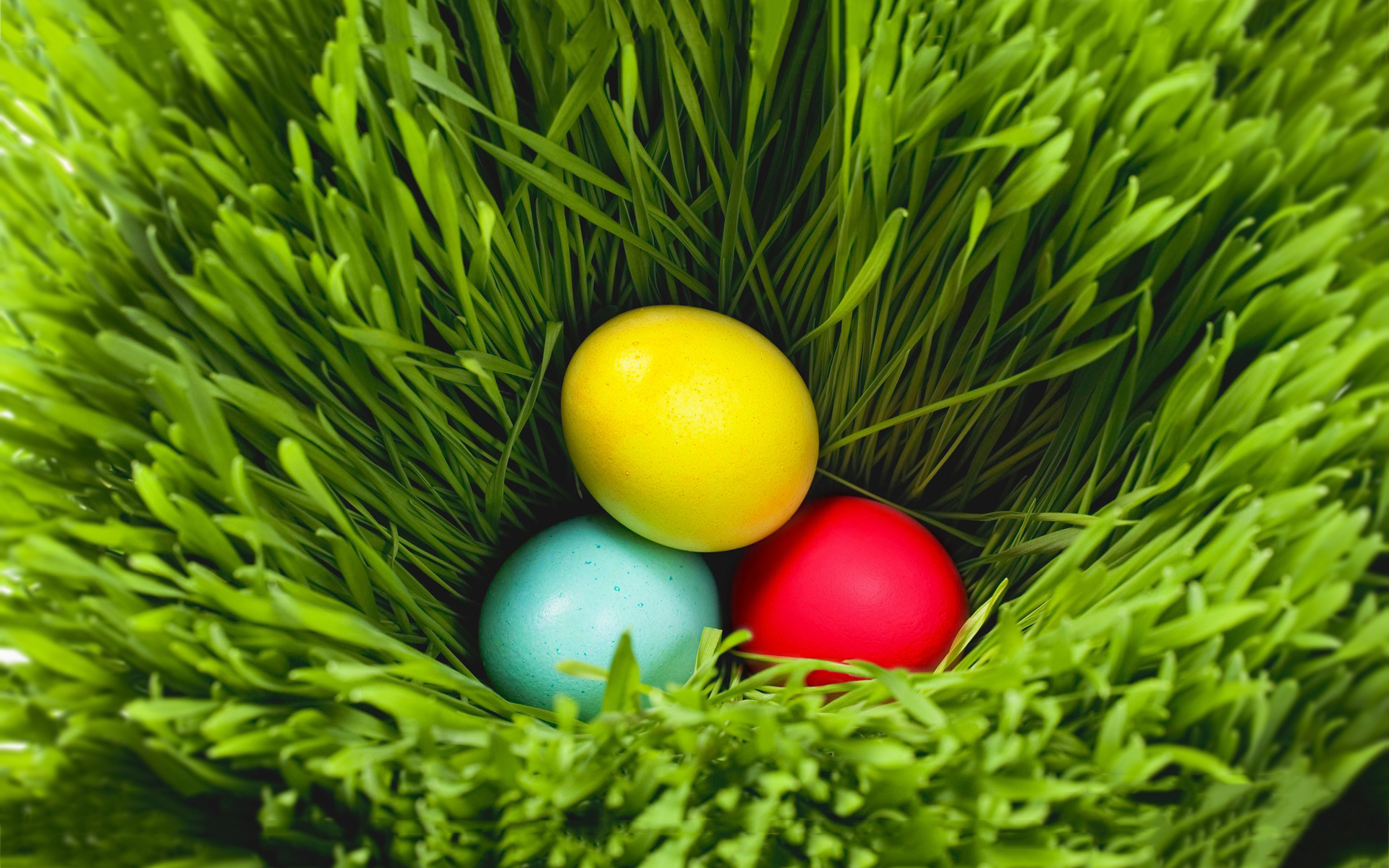 easter eggs pictures
