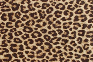 leopard print wallpaper