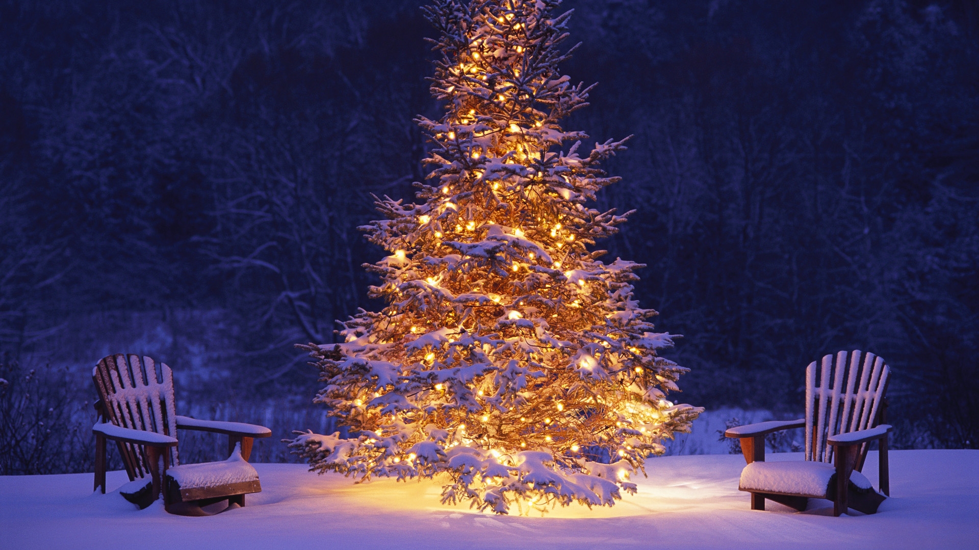 merry christmas wallpapers tree hd A4