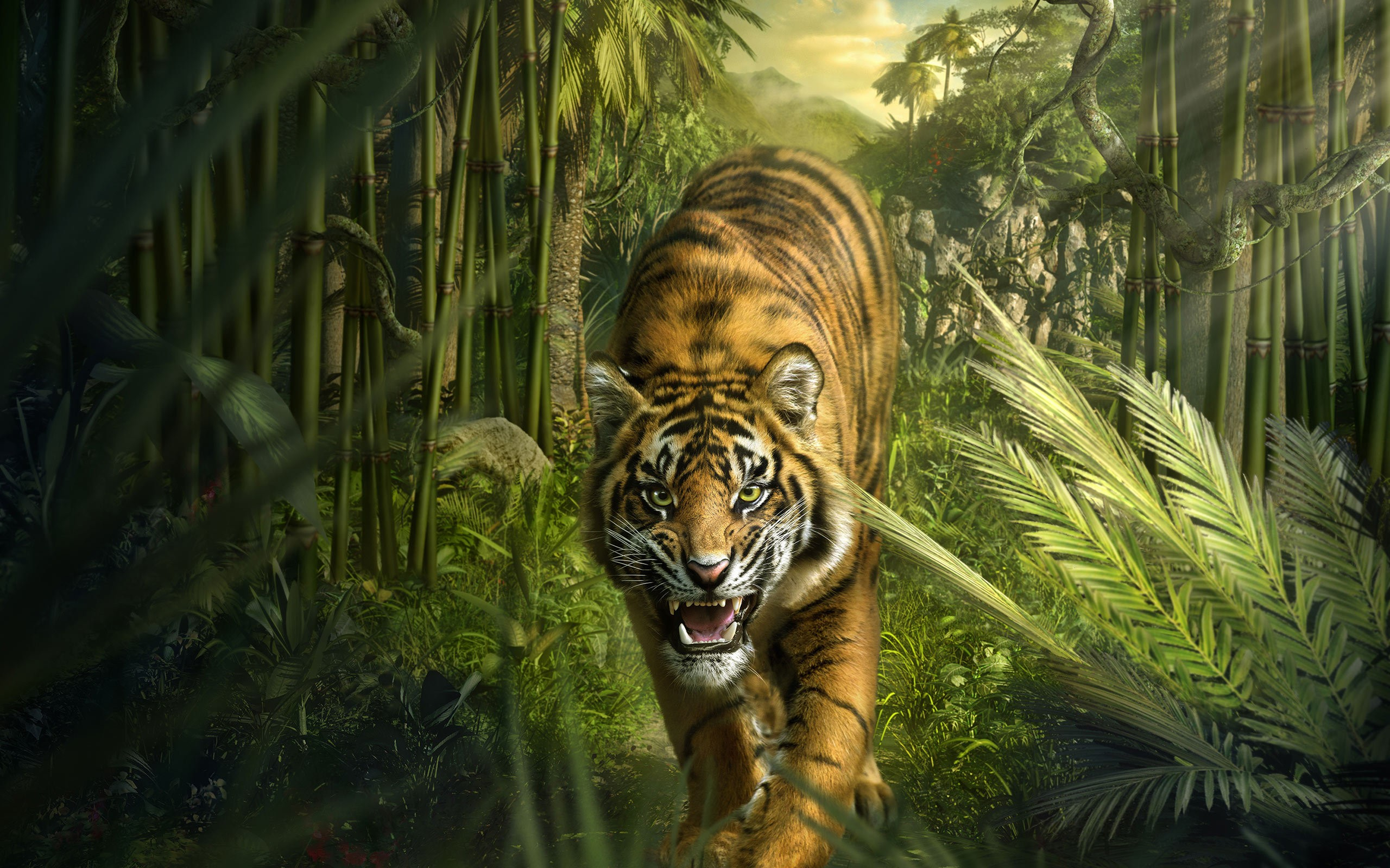 picture of a tiger - HD Desktop Wallpapers | 4k HD
