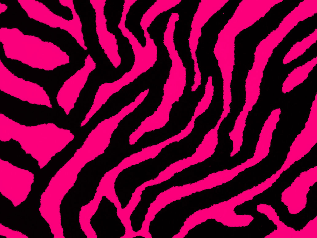 pink zebra print wallpapers