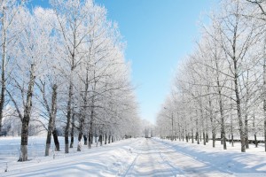 snow wallpaper road
