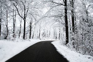 snow wallpaper road trees