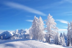 snow wallpaper trees valley