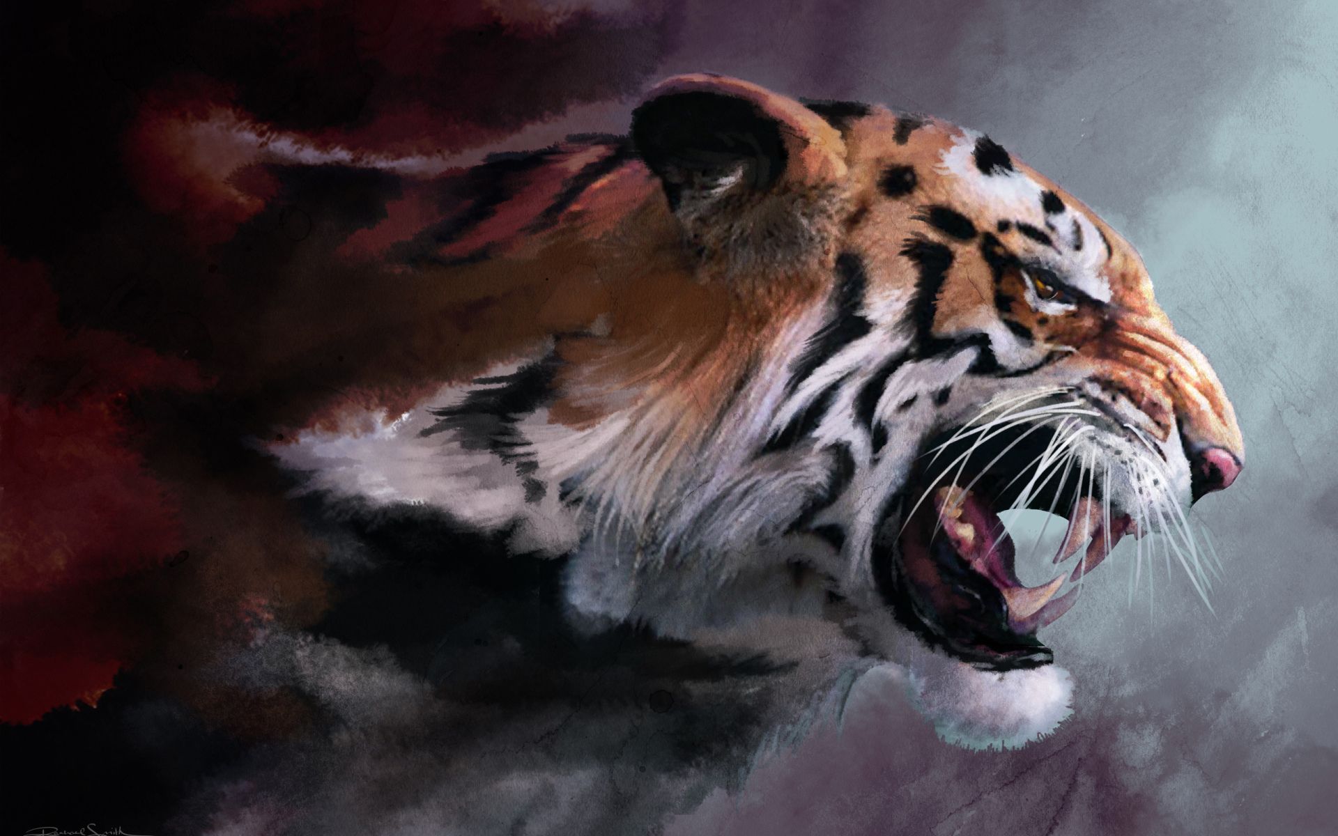 tiger wallpaper chilling