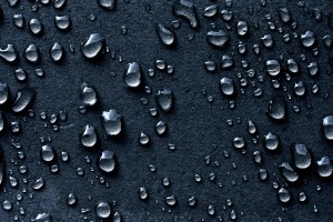water wallpaper dew drops