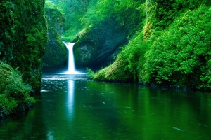 waterfall wallpapers tropical