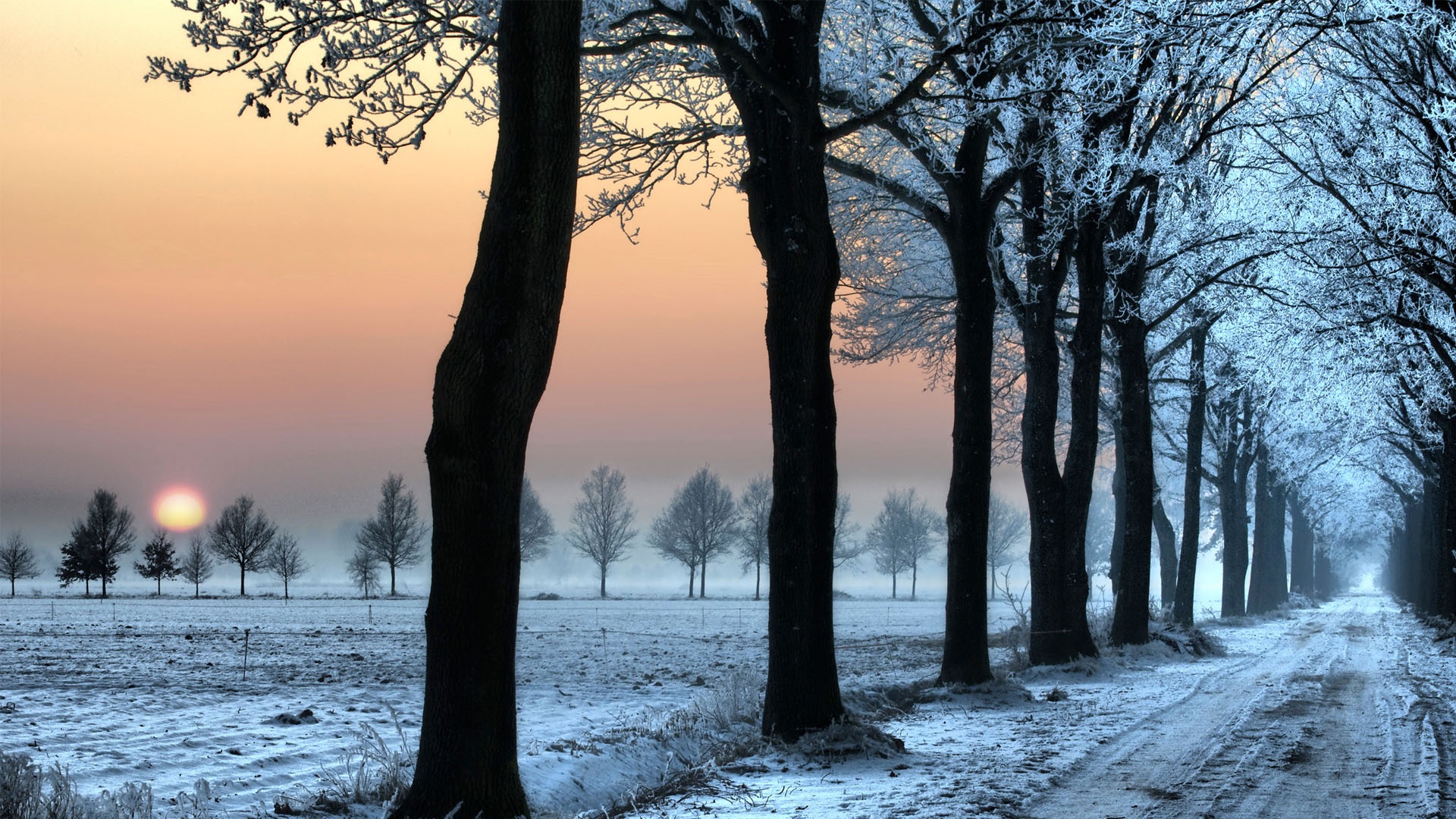winter wonderland wallpaper