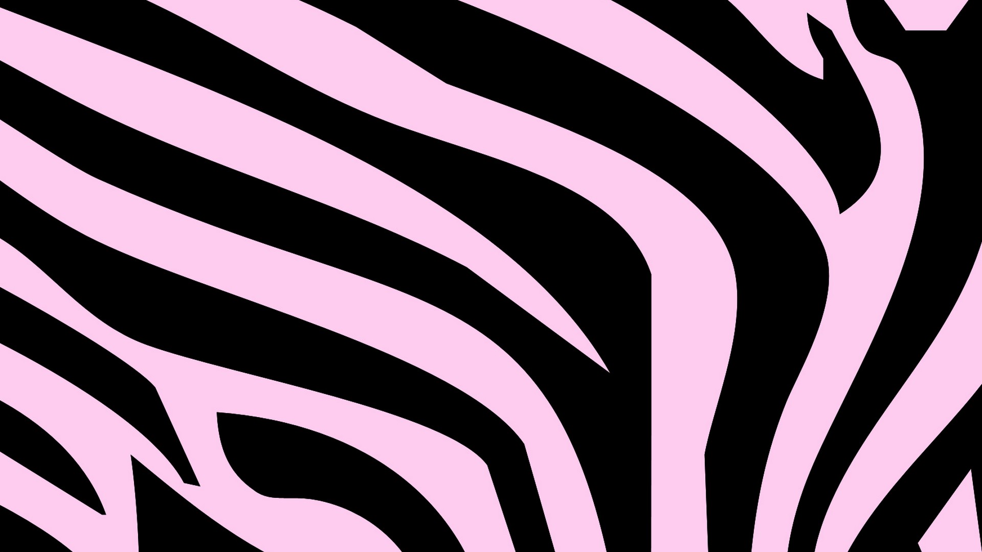 zebra print wallpapers light pink - HD Desktop Wallpapers ...