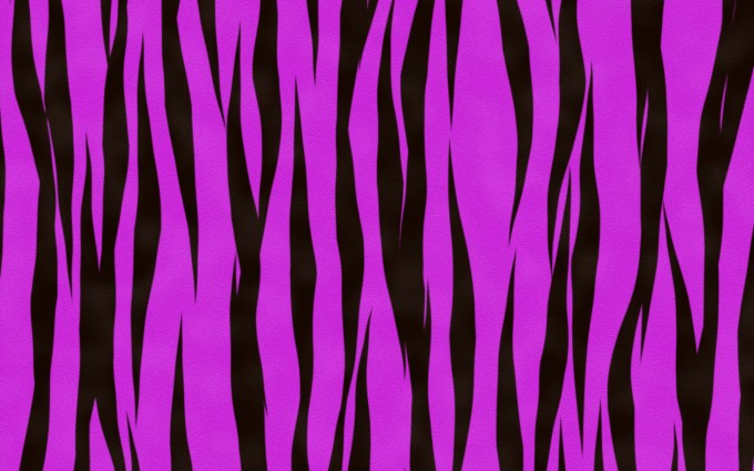 zebra print wallpapers purple