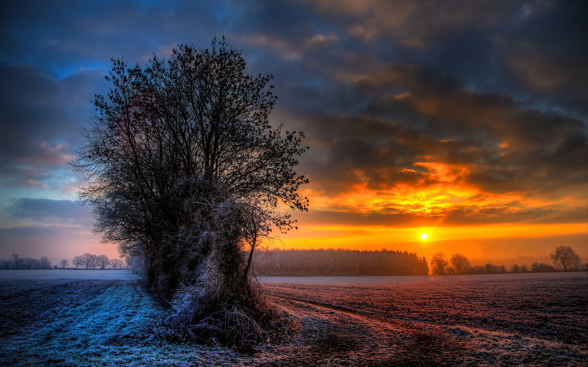 amazing sunset wallpapers frosty