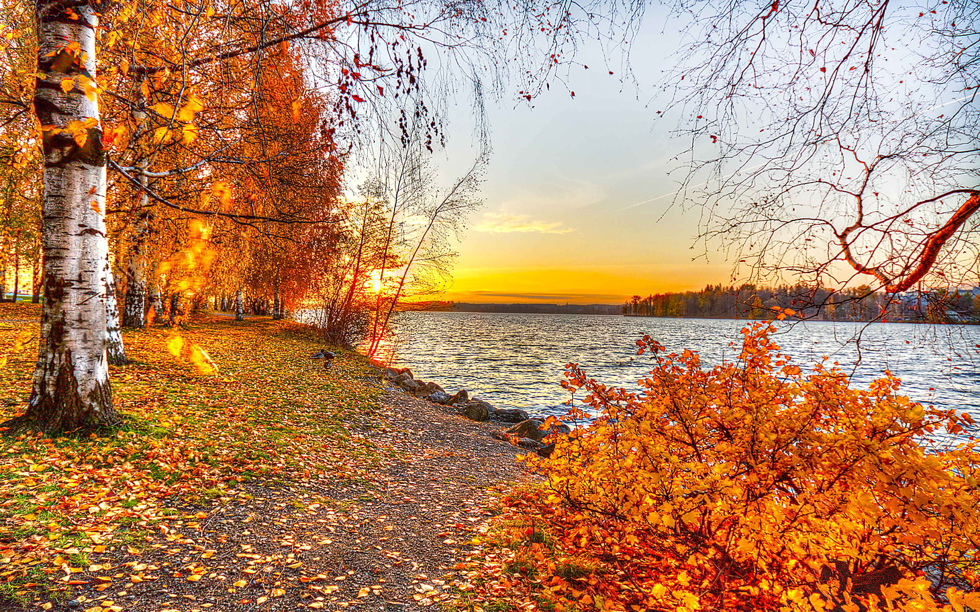autumn lake sunset picture