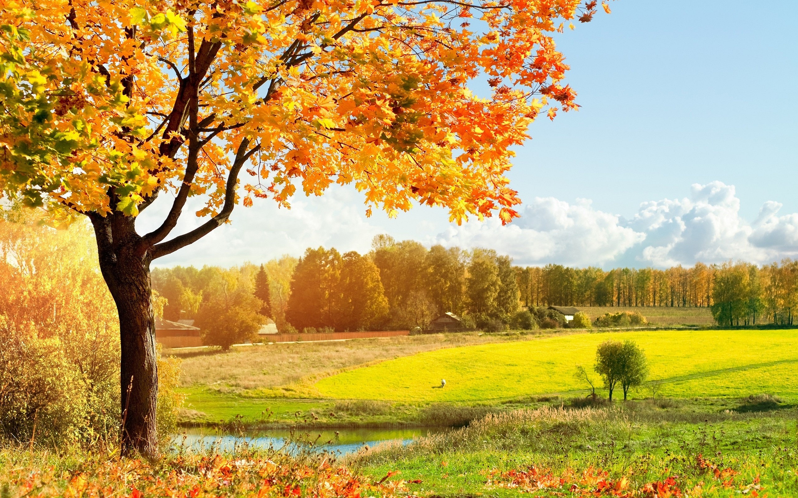 autumn landscape pictures