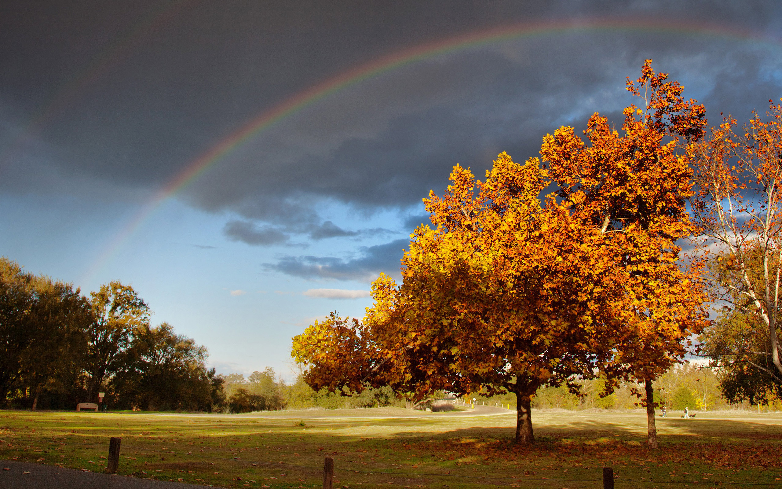 autumn rainbow wallpaper