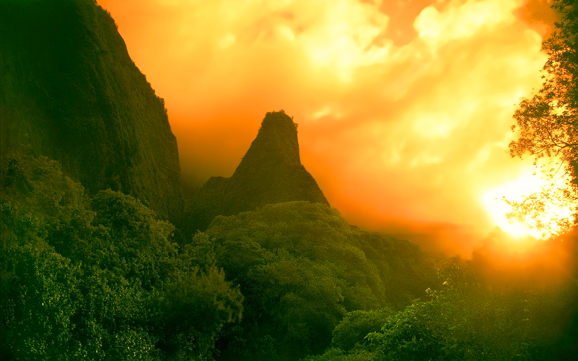 awesome sunset wallpapers rainforest - HD Desktop ...