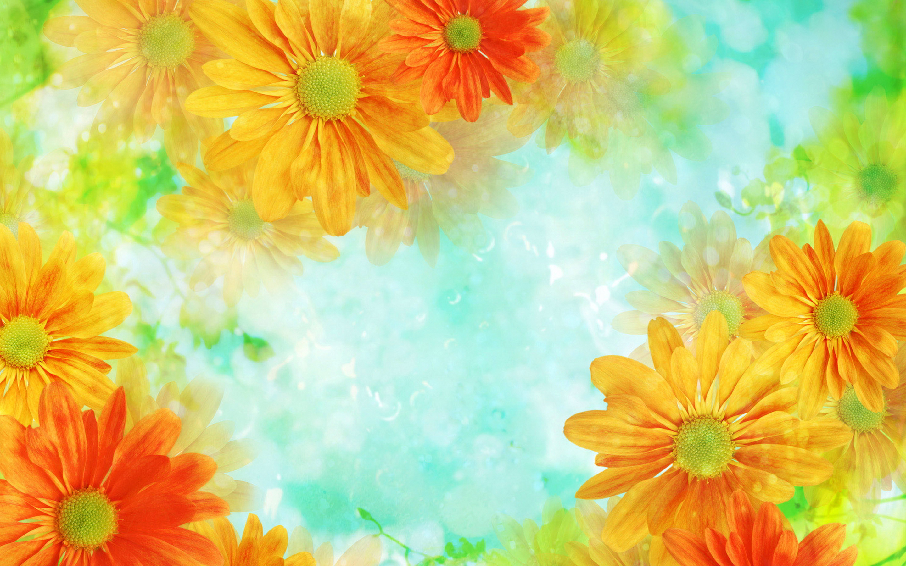 Flowers Background Orange HD Desktop Wallpapers 4k HD
